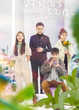 Xem Phim Ai Cũng Khao Khát Gặp Được Em Thuyết Minh Online