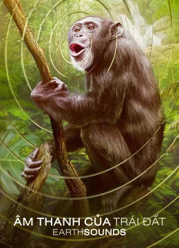 Xem Phim Âm Thanh Của Trái Đất – Earthsounds Thuyết Minh Online