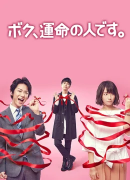 Xem Phim Anh là định mệnh của em Thuyết Minh Online