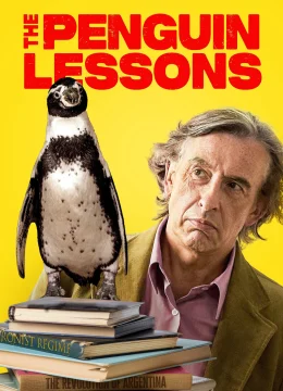 Xem Phim Bài Học Từ Chú Chim Cánh Cụt Thuyết Minh Online