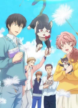 Xem Phim Bạn cùng phòng là mèo Thuyết Minh Online