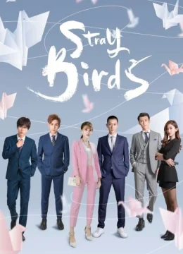 Xem Phim Bầy Chim Lạc Thuyết Minh Online