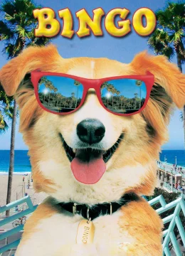 Xem Phim Bingo Thuyết Minh Online