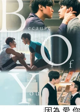Xem Phim Bởi Vì Yêu 2020 Thuyết Minh Online