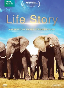 Xem Phim Câu Chuyện Cuộc Sống Thuyết Minh Online