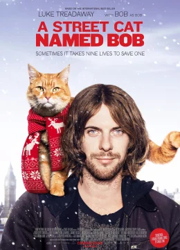 Chú Mèo Đường Phố