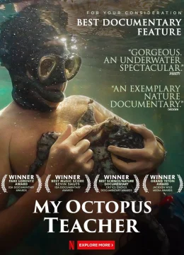 Xem Phim Cô giáo bạch tuộc Thuyết Minh Online