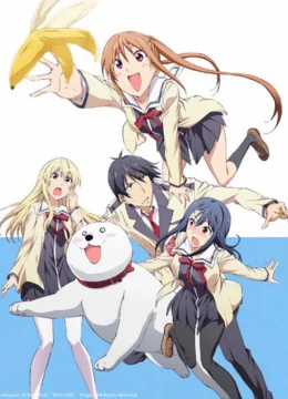 Xem Phim Cô Nàng Ngốc – Aho Girl Thuyết Minh Online