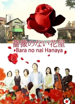 Xem Phim Cửa Hàng Hoa Không Có Hoa Hồng Thuyết Minh Online