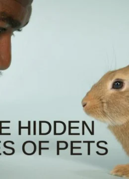 Xem Phim Cuộc sống bí mật của thú cưng Thuyết Minh Online