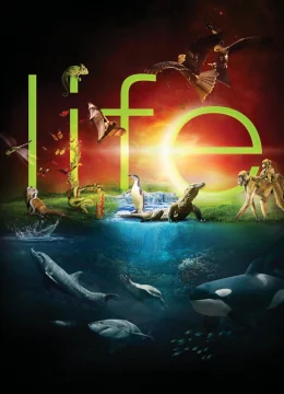 Xem Phim Cuộc Sống Hoang Dã Thuyết Minh Online