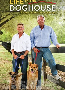 Xem Phim Cuộc Sống Ở Trại Chó Thuyết Minh Online