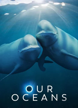 Xem Phim Đại dương của chúng ta Thuyết Minh Online