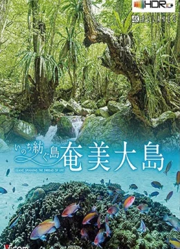 Xem Phim Đảo Amami Oshima Thuyết Minh Online