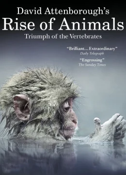 Xem Phim David Attenborough’s Rise of Animals: Triumph of the Vertebrates Thuyết Minh Online