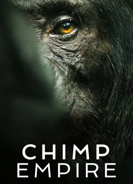 Xem Phim Đế chế tinh tinh Thuyết Minh Online