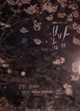 Xem Phim Đêm Xuân Thuyết Minh Online