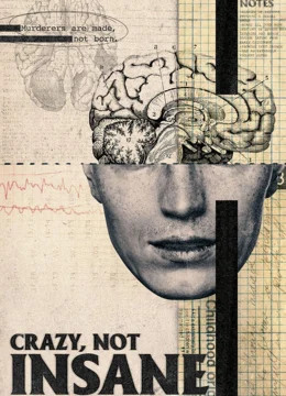 Xem Phim Điên, Không Mất Trí Thuyết Minh Online