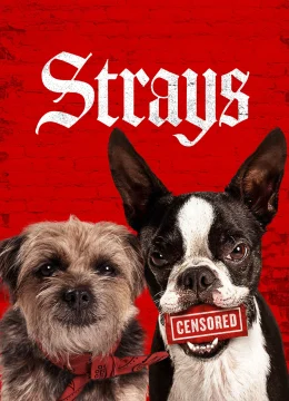 Xem Phim Đời Quá Chó (Những Chú Chó Bụi Đời) Thuyết Minh Online