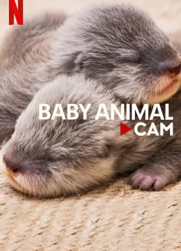 Xem Phim Động vật bé cưng trên camera Thuyết Minh Online