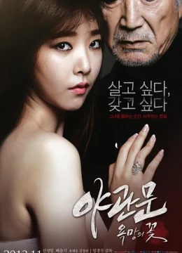 Xem Phim Door to the Night Thuyết Minh Online