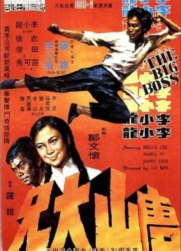 Xem Phim Đường Sơn Đại Huynh Thuyết Minh Online