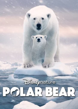 Xem Phim Gấu Bắc Cực Thuyết Minh Online