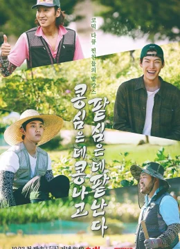 Xem Phim Gieo Gì Gặt Nấy Thuyết Minh Online