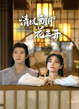 Xem Phim Gió Mát Trăng Thanh Hoa Đua Nở Thuyết Minh Online