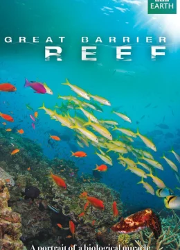 Xem Phim Great Barrier Reef Thuyết Minh Online
