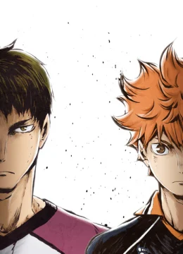 Xem Phim Haikyu – Chàng khổng lồ tí hon (Phần 3) Thuyết Minh Online