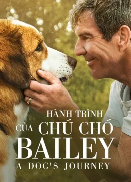 Xem Phim Hành Trình Của Chú Chó Bailey Thuyết Minh Online