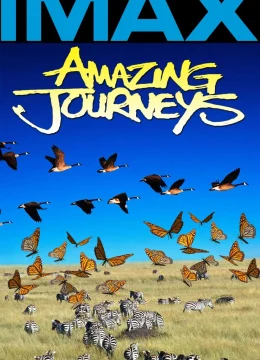 Xem Phim Hành Trình Kinh Ngạc Thuyết Minh Online