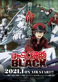 Xem Phim Hataraku Saibou Black Thuyết Minh Online