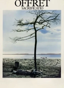 Xem Phim Hiến Dâng Thuyết Minh Online