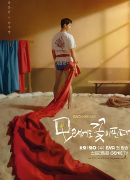 Xem Phim Hoa Nở Trên Cát Thuyết Minh Online