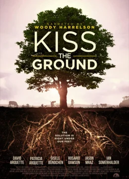 Xem Phim Hôn lên mạch đất Thuyết Minh Online