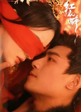 Xem Phim Hồng Y Túy Thuyết Minh Online