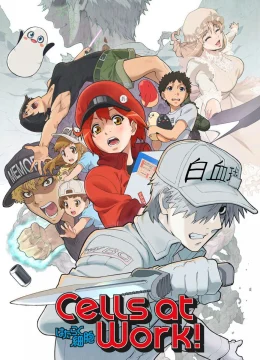 Xem Phim Khi các tế bào làm việc Thuyết Minh Online