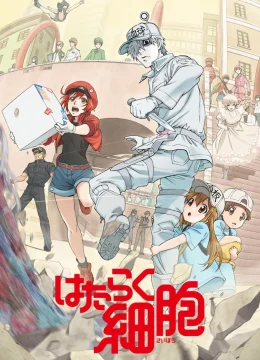 Xem Phim Khi Các Tế Bào Làm Việc (Phần 1) Thuyết Minh Online