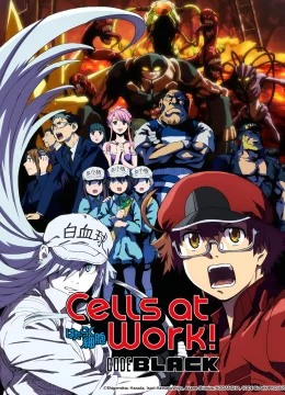 Xem Phim Khi các tế bào làm việc trong cơ thể trung niên BLACK Thuyết Minh Online