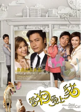 Xem Phim Khi Chó Yêu Mèo Thuyết Minh Online