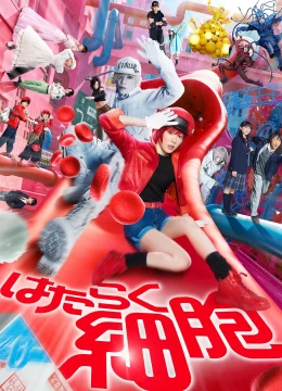 Xem Phim Khi tế bào làm việc Thuyết Minh Online