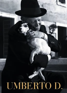 Xem Phim Khốn Quẫn Thuyết Minh Online