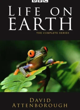 Xem Phim Life on Earth Thuyết Minh Online