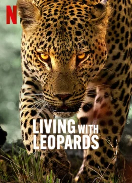 Xem Phim Living with Leopards Thuyết Minh Online