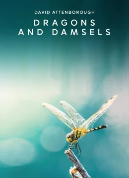 Xem Phim Loài Chuồn Chuồn Thuyết Minh Online