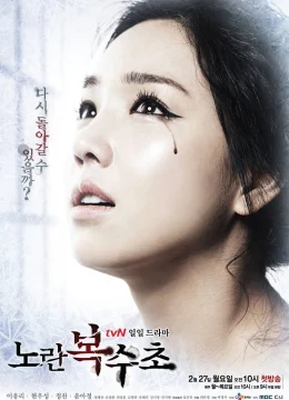 Xem Phim Lửa Hận Tình Thù Thuyết Minh Online