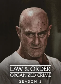 Xem Phim Luật Pháp Và Trật Tự: Tội Phạm Có Tổ Chức (Phần 5) Thuyết Minh Online