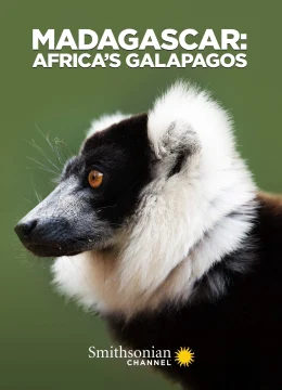 Xem Phim Madagascar: Africa’s Galapagos Thuyết Minh Online